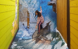D트릭아트 (벽면+바닥 혼합형) - 돌고래 서핑