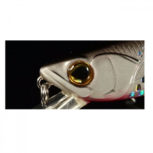 3D 오브롱 아이 - 물고기 눈 교환 수리