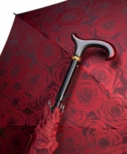 빨강장미[Red rose] 우산지팡이 독일 Gastrock 1608-2